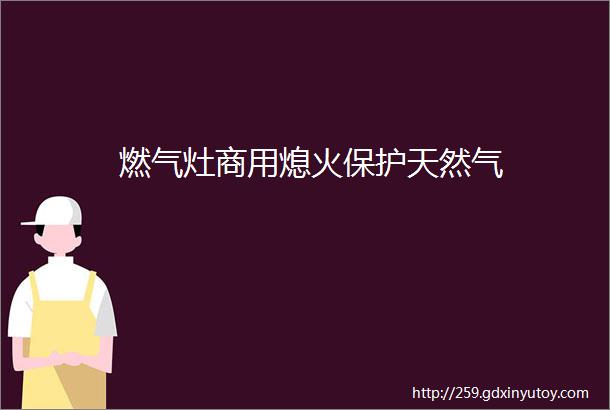 燃气灶商用熄火保护天然气