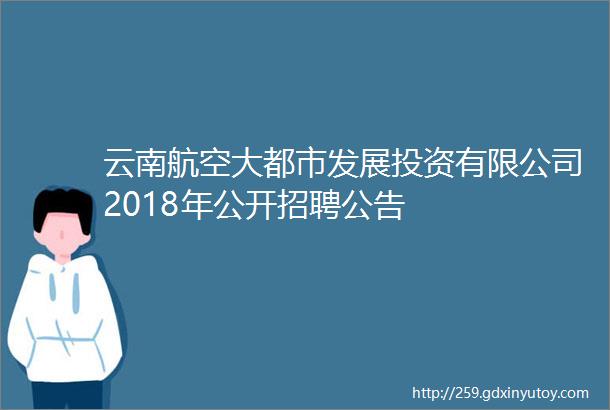 云南航空大都市发展投资有限公司2018年公开招聘公告