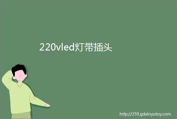 220vled灯带插头